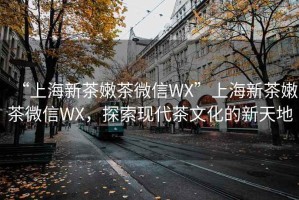 “上海新茶嫩茶微信WX”上海新茶嫩茶微信WX，探索現(xiàn)代茶文化的新天地