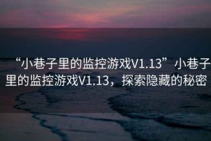 “小巷子里的監(jiān)控游戲V1.13”小巷子里的監(jiān)控游戲V1.13，探索隱藏的秘密