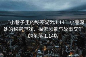 “小巷子里的秘密游戲1.14”小巷深處的秘密游戲，探索風(fēng)景與故事交匯的角落 1.14版