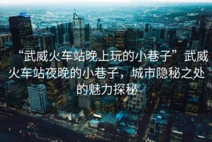 “武威火車站晚上玩的小巷子”武威火車站夜晚的小巷子，城市隱秘之處的魅力探秘