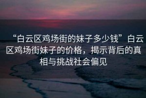 “白云區(qū)雞場街的妹子多少錢”白云區(qū)雞場街妹子的價格，揭示背后的真相與挑戰(zhàn)社會偏見
