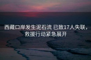 西藏口岸發(fā)生泥石流 已致17人失聯(lián)，救援行動緊急展開