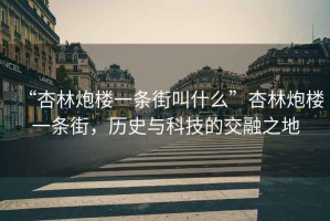 “杏林炮樓一條街叫什么”杏林炮樓一條街，歷史與科技的交融之地