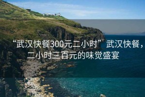 “武漢快餐300元二小時”武漢快餐，二小時三百元的味覺盛宴