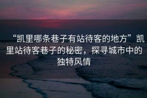 “凱里哪條巷子有站待客的地方”凱里站待客巷子的秘密，探尋城市中的獨特風情