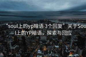 “soul上的yp暗語 3個回復(fù)”關(guān)于Soul上的YP暗語，探索與回應(yīng)