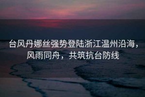 臺(tái)風(fēng)丹娜絲強(qiáng)勢登陸浙江溫州沿海，風(fēng)雨同舟，共筑抗臺(tái)防線