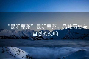 “昆明葷茶”昆明葷茶，品味歷史與自然的交響