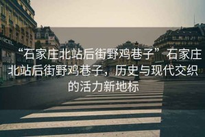 “石家莊北站后街野雞巷子”石家莊北站后街野雞巷子，歷史與現(xiàn)代交織的活力新地標(biāo)