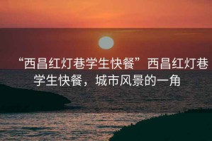 “西昌紅燈巷學(xué)生快餐”西昌紅燈巷學(xué)生快餐，城市風(fēng)景的一角