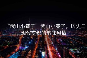 “武山小巷子”武山小巷子，歷史與現(xiàn)代交織的韻味風(fēng)情