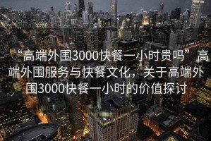 “高端外圍3000快餐一小時(shí)貴嗎”高端外圍服務(wù)與快餐文化，關(guān)于高端外圍3000快餐一小時(shí)的價(jià)值探討