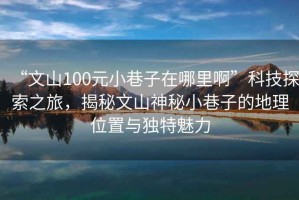 “文山100元小巷子在哪里啊”科技探索之旅，揭秘文山神秘小巷子的地理位置與獨特魅力