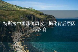 特斯拉中國漲價風波，揭秘背后原因與影響