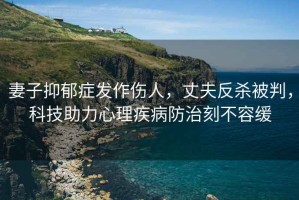 妻子抑郁癥發(fā)作傷人，丈夫反殺被判，科技助力心理疾病防治刻不容緩