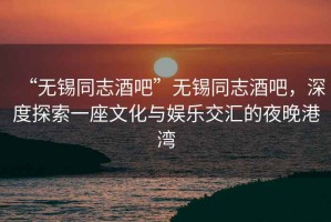 “無錫同志酒吧”無錫同志酒吧，深度探索一座文化與娛樂交匯的夜晚港灣
