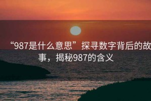 “987是什么意思”探尋數(shù)字背后的故事，揭秘987的含義