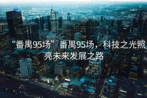 “番禺95場”番禺95場，科技之光照亮未來發(fā)展之路