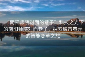 “南陽師院對面的巷子”科技之光下的南陽師院對面巷子，探索城市巷弄的智能變革之旅