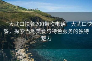 “大武口快餐200帶吹電話”大武口快餐，探索當?shù)孛朗撑c特色服務的獨特魅力
