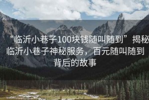 “臨沂小巷子100塊錢隨叫隨到”揭秘臨沂小巷子神秘服務(wù)，百元隨叫隨到背后的故事