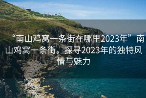 “南山雞窩一條街在哪里2023年”南山雞窩一條街，探尋2023年的獨特風(fēng)情與魅力