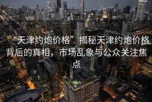 “天津約炮價格”揭秘天津約炮價格背后的真相，市場亂象與公眾關(guān)注焦點