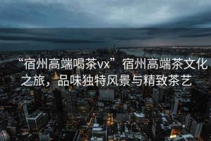 “宿州高端喝茶vx”宿州高端茶文化之旅，品味獨特風景與精致茶藝