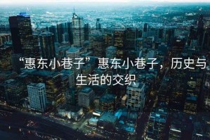 “惠東小巷子”惠東小巷子，歷史與生活的交織