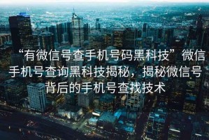 “有微信號(hào)查手機(jī)號(hào)碼黑科技”微信手機(jī)號(hào)查詢黑科技揭秘，揭秘微信號(hào)背后的手機(jī)號(hào)查找技術(shù)