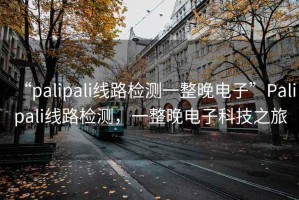 “palipali線路檢測一整晚電子”Palipali線路檢測，一整晚電子科技之旅