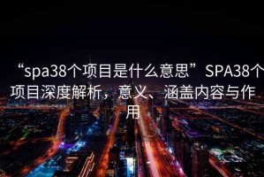 “spa38個項(xiàng)目是什么意思”SPA38個項(xiàng)目深度解析，意義、涵蓋內(nèi)容與作用