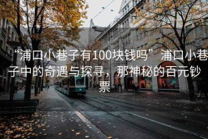 “浦口小巷子有100塊錢(qián)嗎”浦口小巷子中的奇遇與探尋，那神秘的百元鈔票