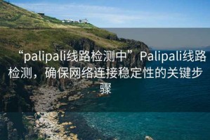 “palipali線路檢測中”Palipali線路檢測，確保網(wǎng)絡連接穩(wěn)定性的關鍵步驟