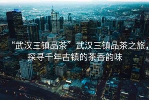 “武漢三鎮(zhèn)品茶”武漢三鎮(zhèn)品茶之旅，探尋千年古鎮(zhèn)的茶香韻味