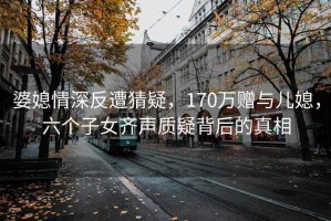 婆媳情深反遭猜疑，170萬贈與兒媳，六個子女齊聲質疑背后的真相