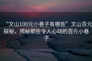 “文山100元小巷子有哪些”文山百元探秘，揭秘那些令人心動(dòng)的百元小巷子