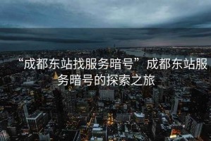 “成都東站找服務(wù)暗號”成都東站服務(wù)暗號的探索之旅