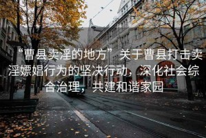 “曹縣賣(mài)淫的地方”關(guān)于曹縣打擊賣(mài)淫嫖娼行為的堅(jiān)決行動(dòng)，深化社會(huì)綜合治理，共建和諧家園