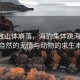 強(qiáng)震致山體崩落，海豹集體跳海躲避，大自然的無(wú)情與動(dòng)物的求生本能