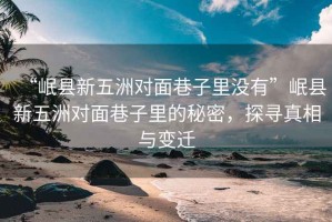“岷縣新五洲對面巷子里沒有”岷縣新五洲對面巷子里的秘密，探尋真相與變遷