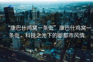 “康巴什雞窩一條街”康巴什雞窩一條街，科技之光下的新都市風(fēng)情