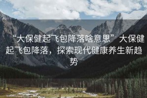 “大保健起飛包降落啥意思”大保健起飛包降落，探索現(xiàn)代健康養(yǎng)生新趨勢