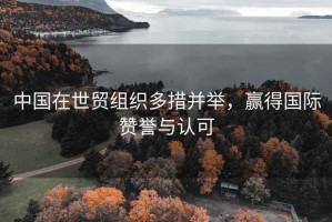 中國(guó)在世貿(mào)組織多措并舉，贏得國(guó)際贊譽(yù)與認(rèn)可
