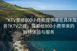 “KTV里給800小費(fèi)能提供哪些具體服務(wù)?KTV之夜，探索給800小費(fèi)帶來的獨(dú)特體驗(yàn)與服務(wù)