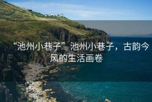 “池州小巷子”池州小巷子，古韻今風的生活畫卷