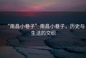 “南昌小巷子”南昌小巷子，歷史與生活的交織