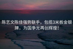 陳藝文陳佳強(qiáng)勢聯(lián)手，包攬3米板金銀牌，為國爭光再創(chuàng)輝煌！