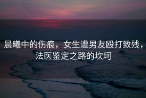 晨曦中的傷痕，女生遭男友毆打致殘，法醫(yī)鑒定之路的坎坷