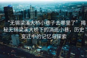 “無(wú)錫梁溪大橋小巷子去哪里了”揭秘?zé)o錫梁溪大橋下的消逝小巷，歷史變遷中的記憶與探索